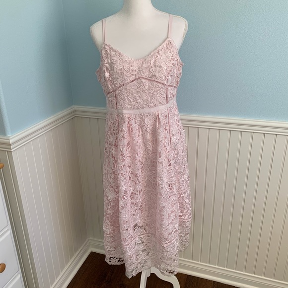 Ted Baker Dresses & Skirts - Ted Baker Valens Lace Midi Dress light pink